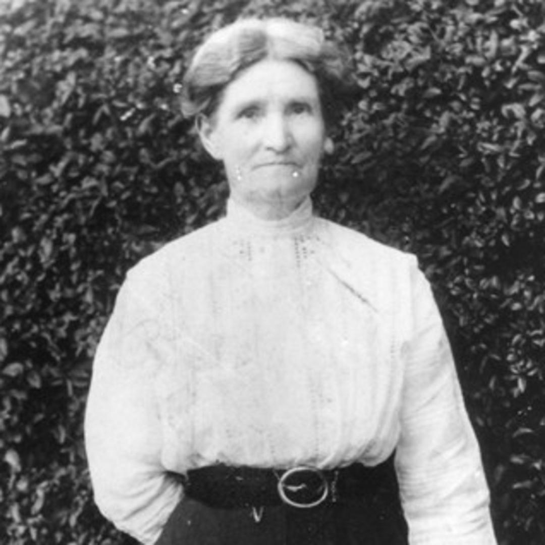 Esther Evaline Knapp (1848 - 1924) Profile